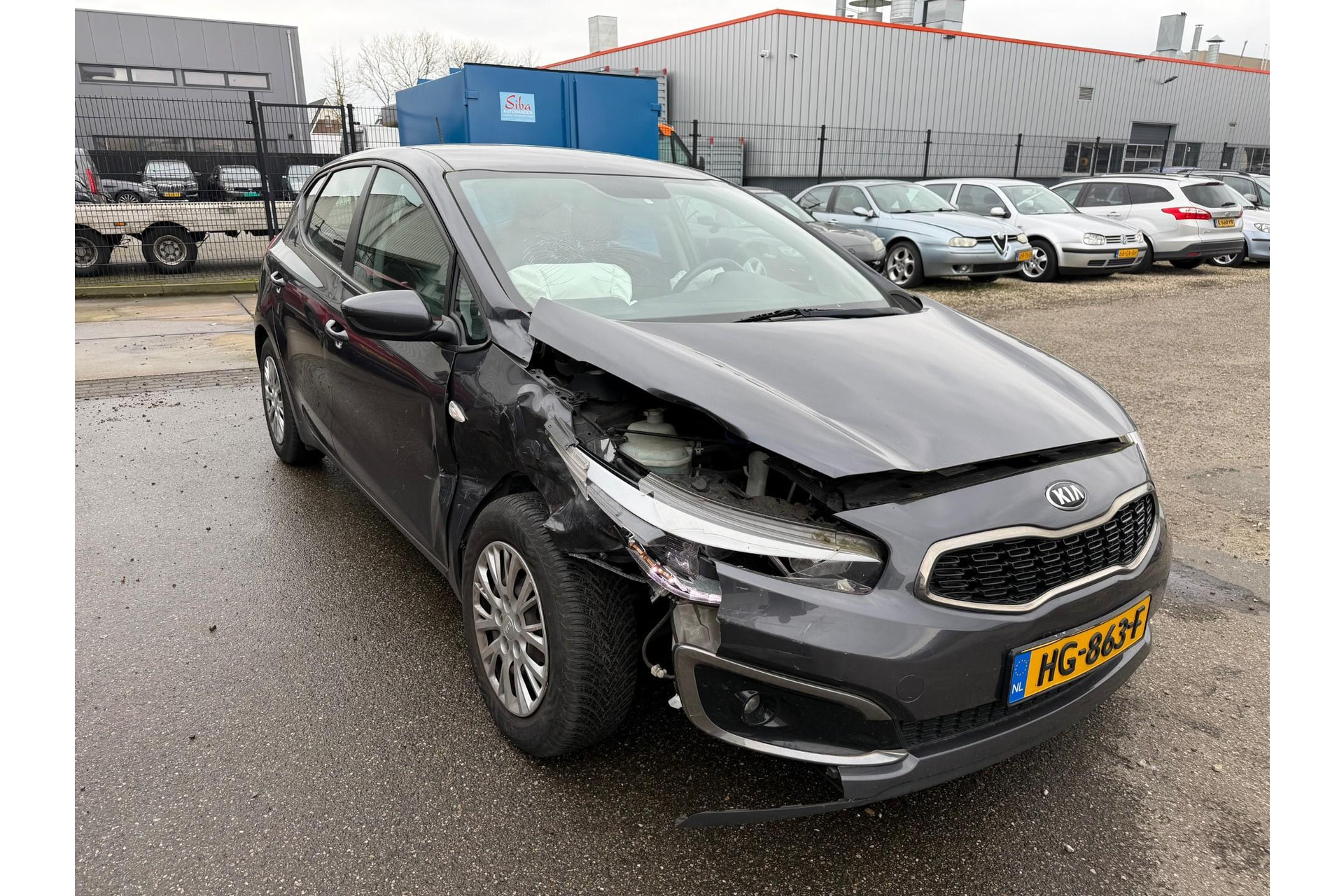 49951598-2-1.jpg