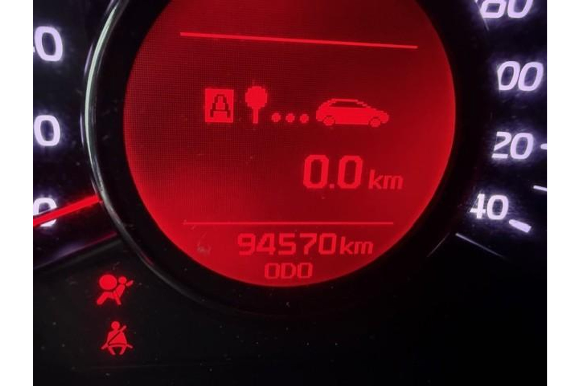 49951598-2-8.jpg