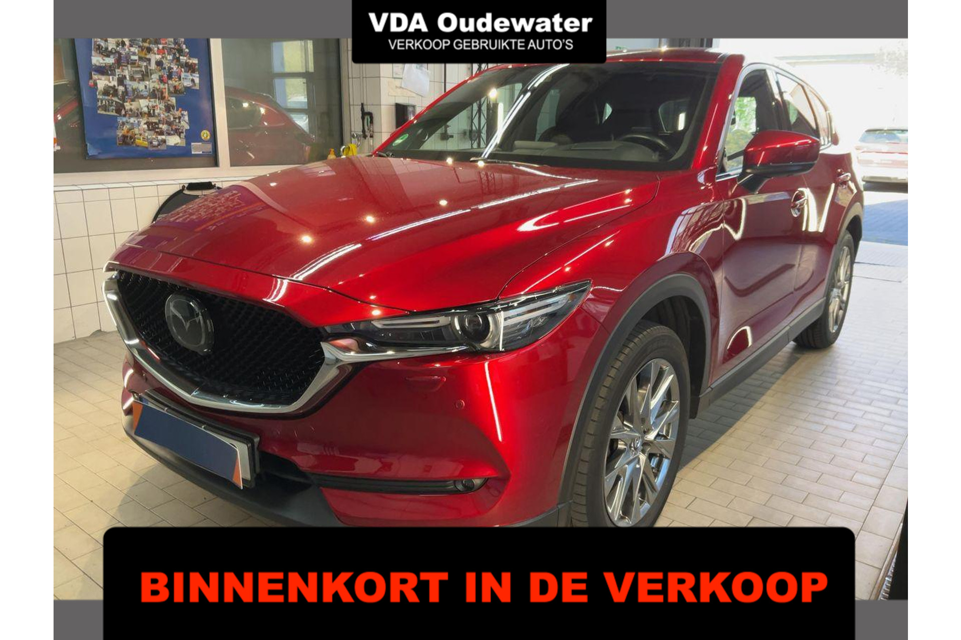 52842161-1