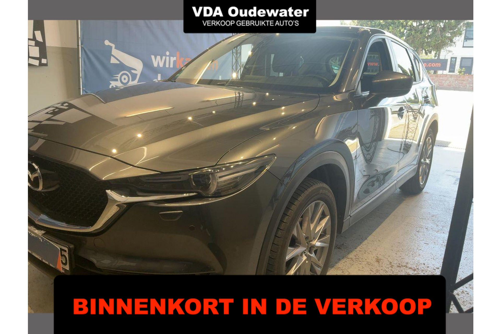 52873602-1