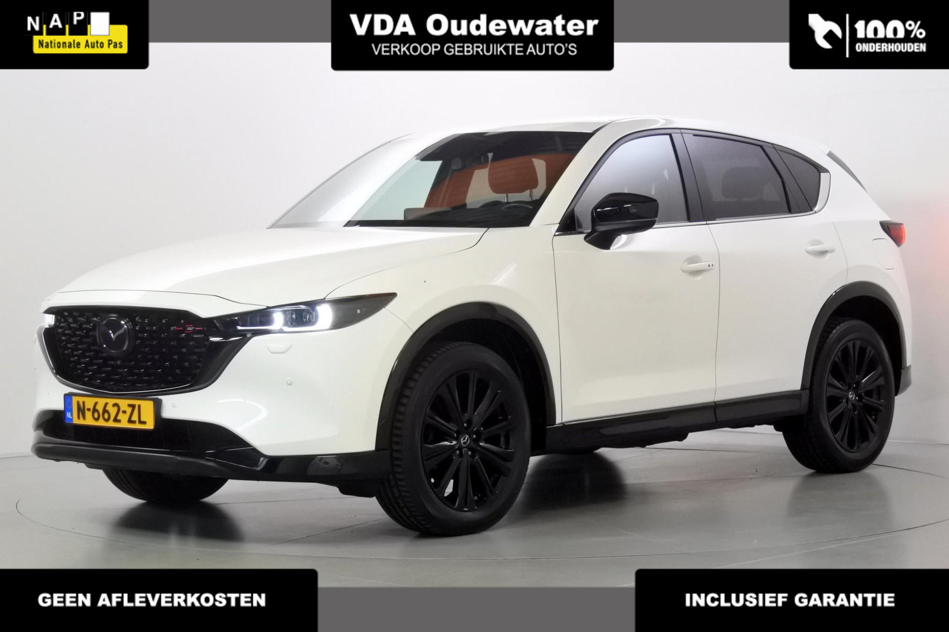 54396068-1