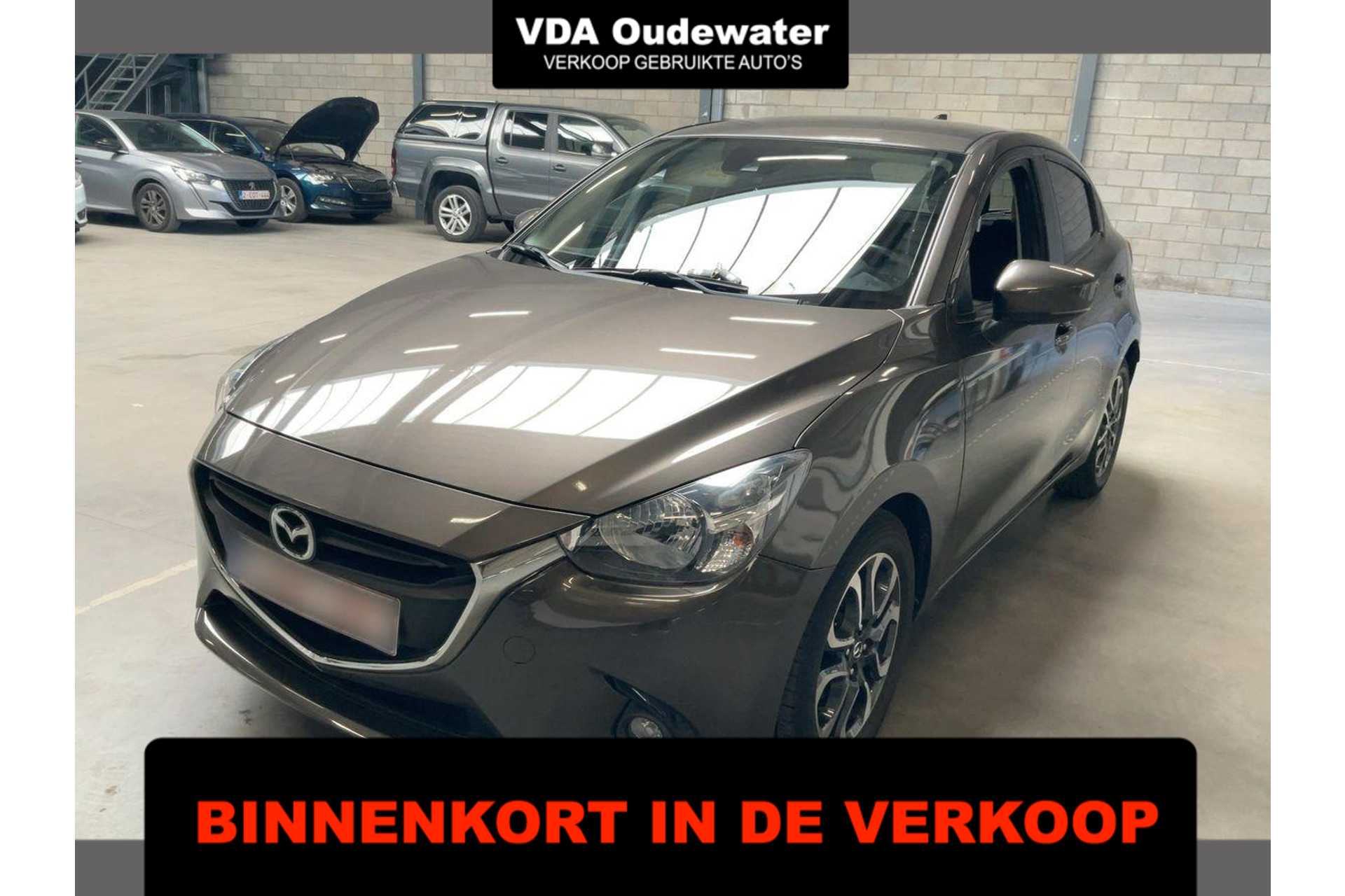 56300459-1