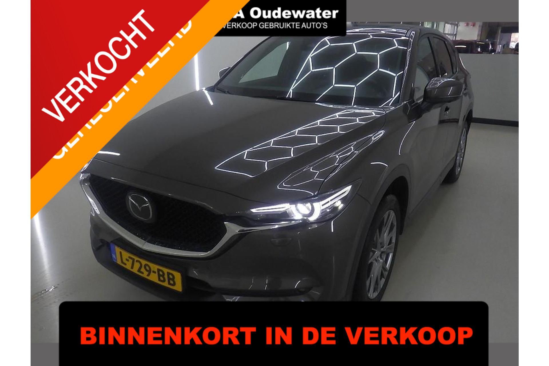 53013190-1